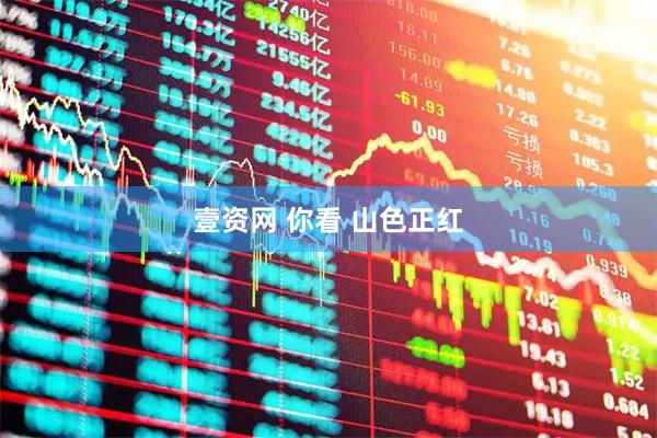 壹资网 你看 山色正红
