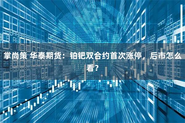 掌尚策 华泰期货：铂钯双合约首次涨停，后市怎么看？