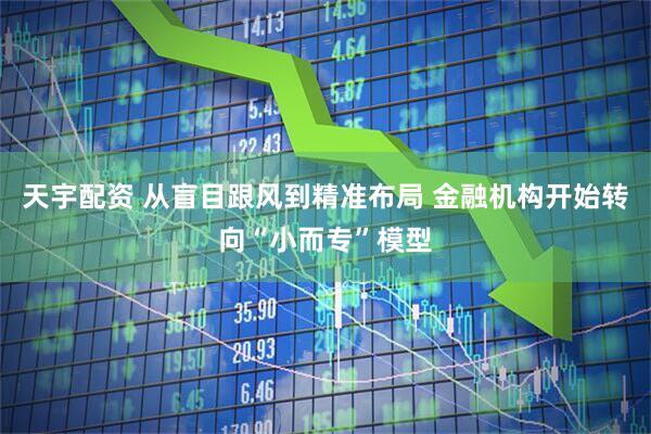 天宇配资 从盲目跟风到精准布局 金融机构开始转向“小而专”模型