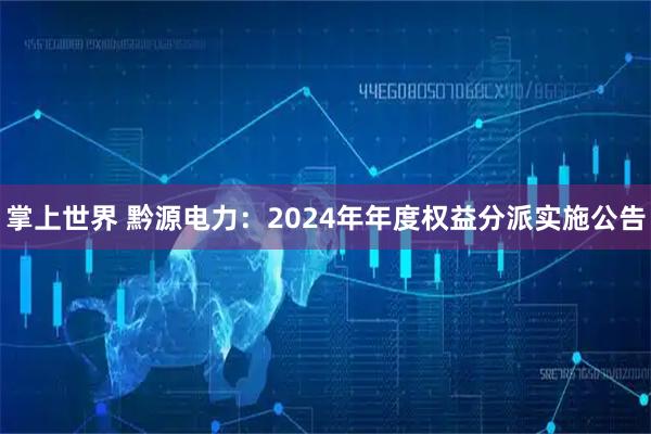 掌上世界 黔源电力：2024年年度权益分派实施公告