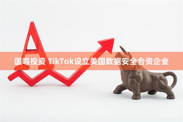 国鸣投资 TikTok设立美国数据安全合资企业