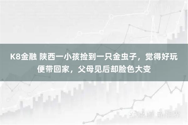 K8金融 陕西一小孩捡到一只金虫子，觉得好玩便带回家，父母见后却脸色大变