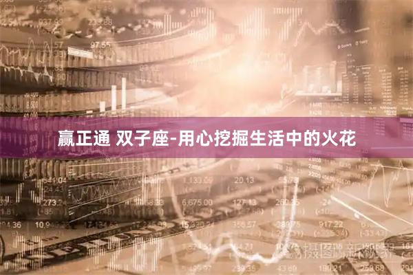 赢正通 双子座-用心挖掘生活中的火花