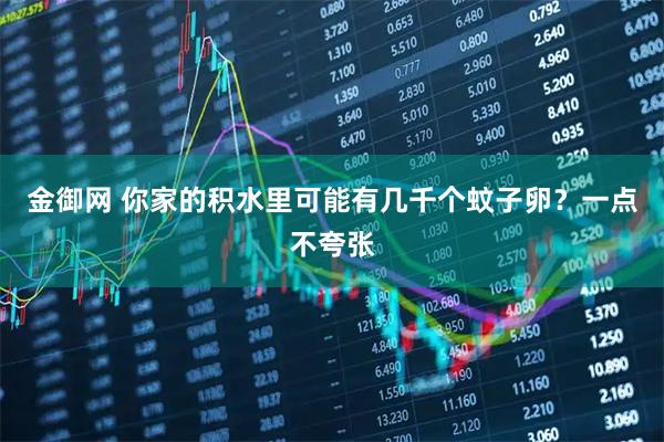 金御网 你家的积水里可能有几千个蚊子卵？一点不夸张